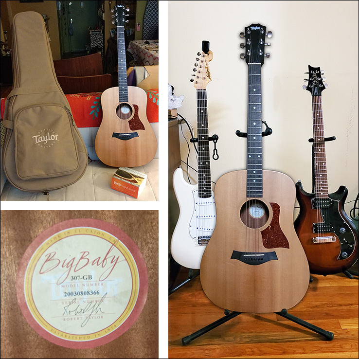 2003 Taylor Big Baby