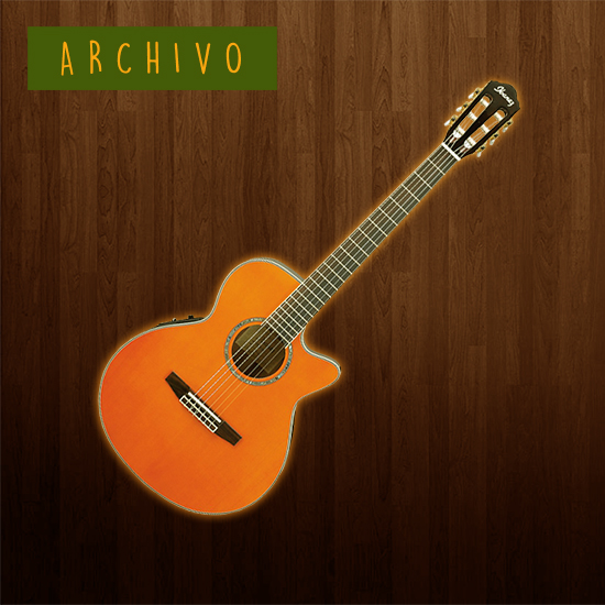 Ibanez AEG10NE