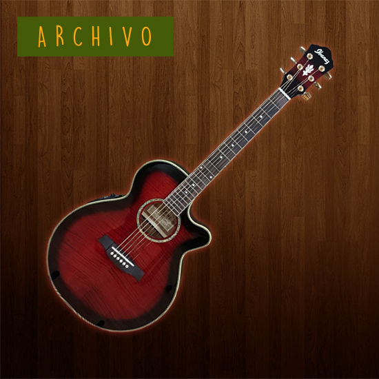 Ibanez AEL20E