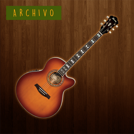 Ibanez AEL20E