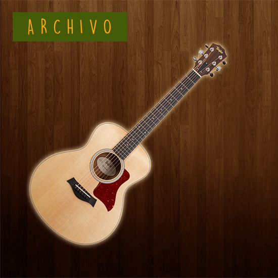 Taylor GS Mini