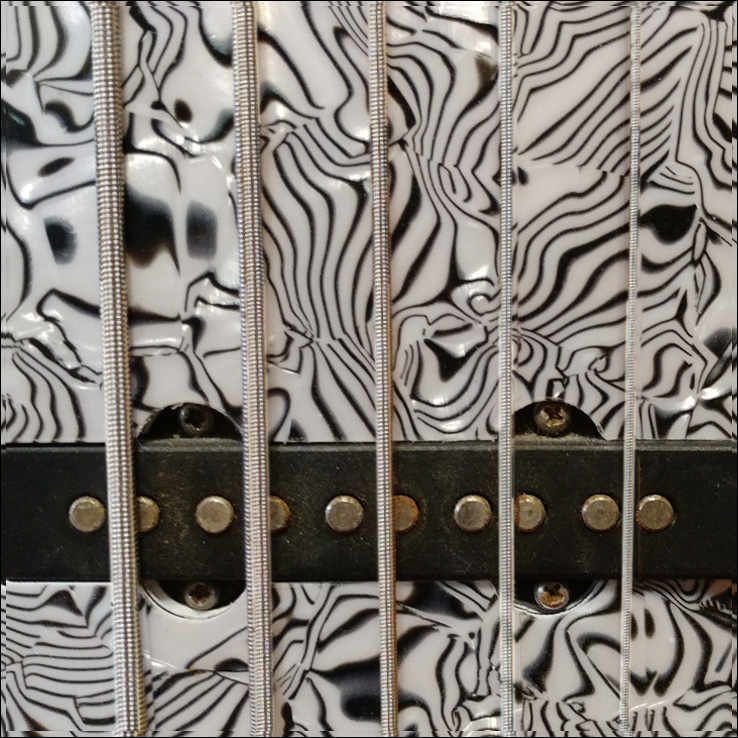 2007 Fender Jazz Bass V